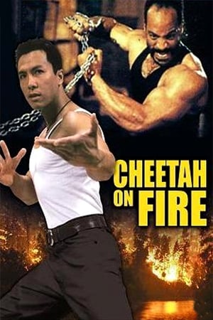 Cheetah on Fire 1992 Hindi Dual Audio 720p Web-DL [900MB]