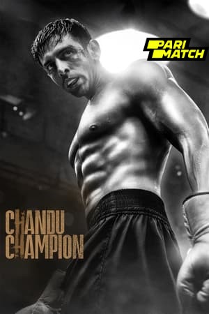 Chandu Champion 2024 Hindi V2 1080p CAMRip