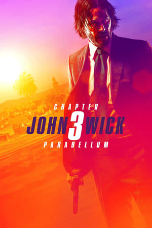 John Wick Chapter 3 Parabellum (2019) Hindi Dubbed 720p BluRay [1GB]
