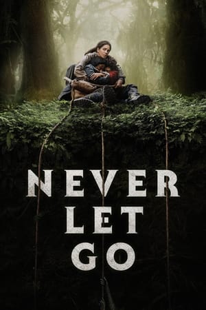 Never Let Go 2024 English 1080p CAMRip