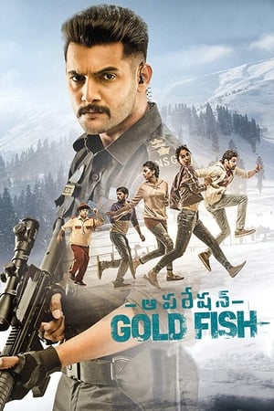 Operation Gold Fish 2019 (Hindi - Telugu) Dual Audio 480p UnCut HDRip 360MB