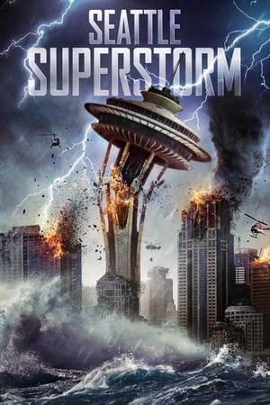 Seattle Superstorm (2012) Hindi Dual Audio 480p BluRay 300MB