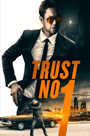 Trust No 1 (2019) Hindi Dual Audio 480p Web-DL 300MB